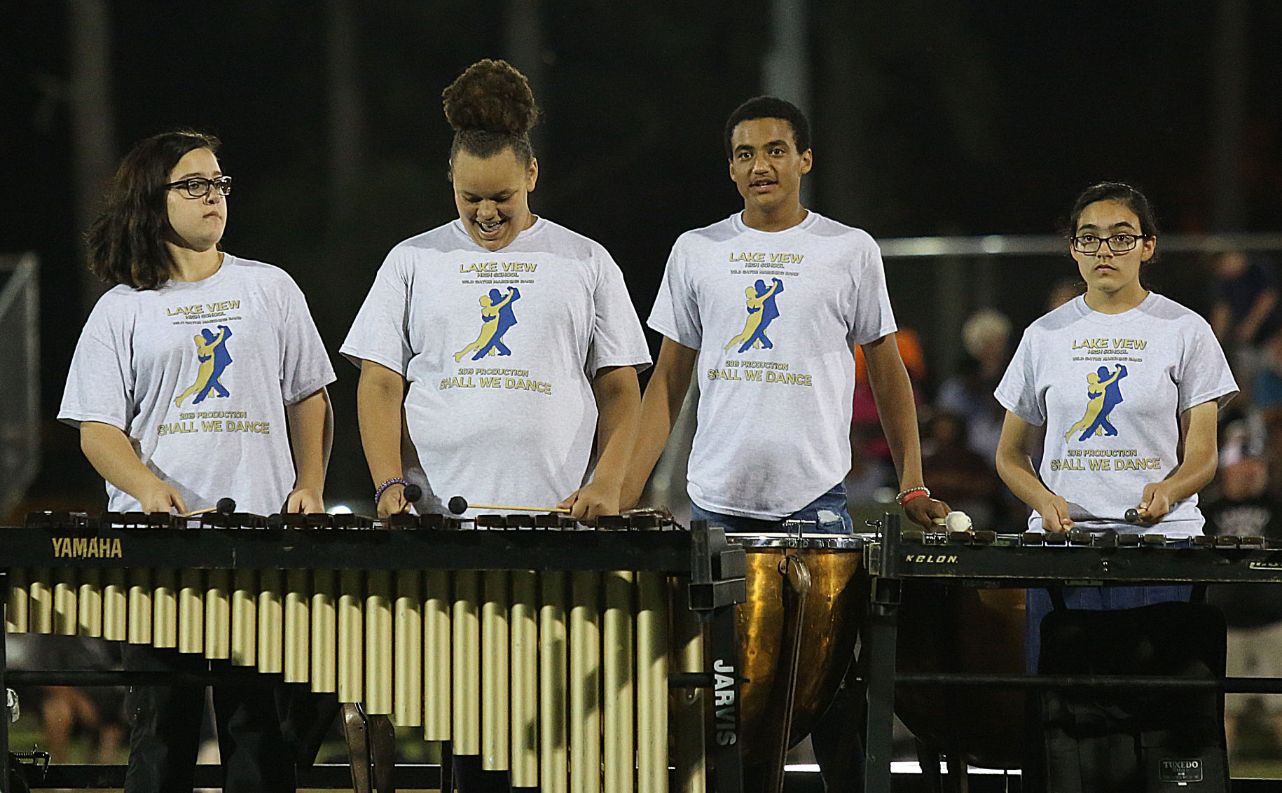 Lake View Band